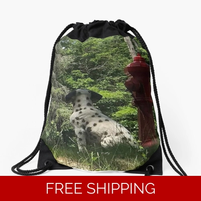 Le Studio Drawstring Bag Rush Signals Statue Back